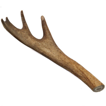 Reindeer Antler Mirror #2