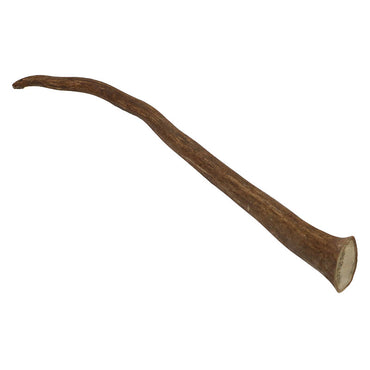 Reindeer Antler Tip #1