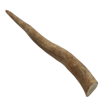Reindeer Antler Tip #4