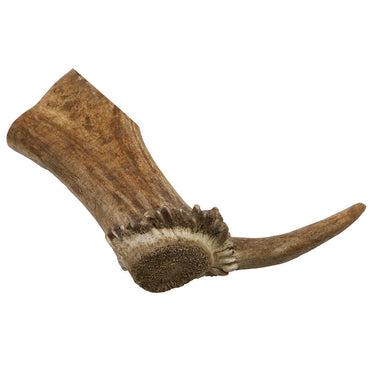 Reindeer Antler Crown #1