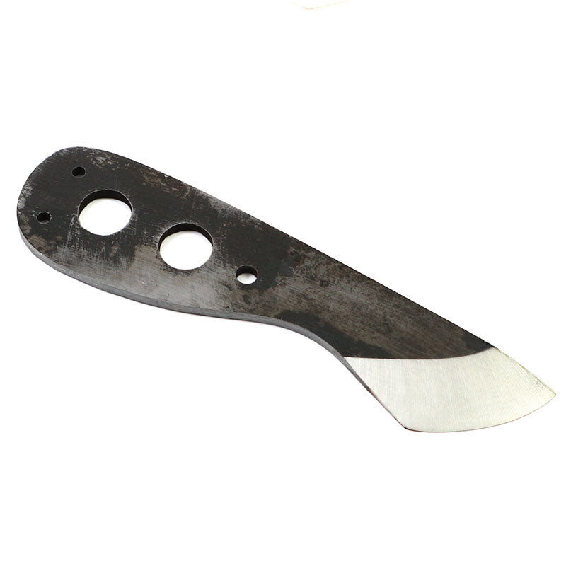 Bladepoint Ghoul